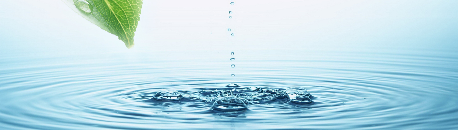 banner-bg-1